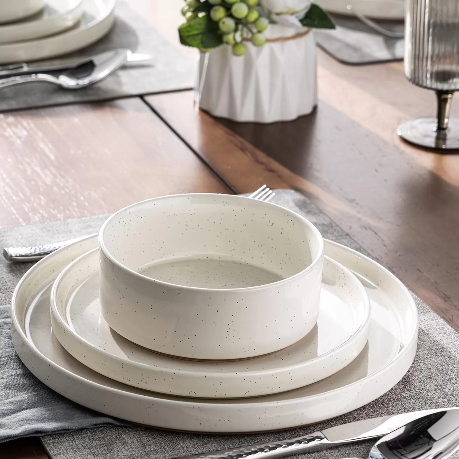 Ceramic Speckled Stoneware Dinnerware Set Supplier in China
