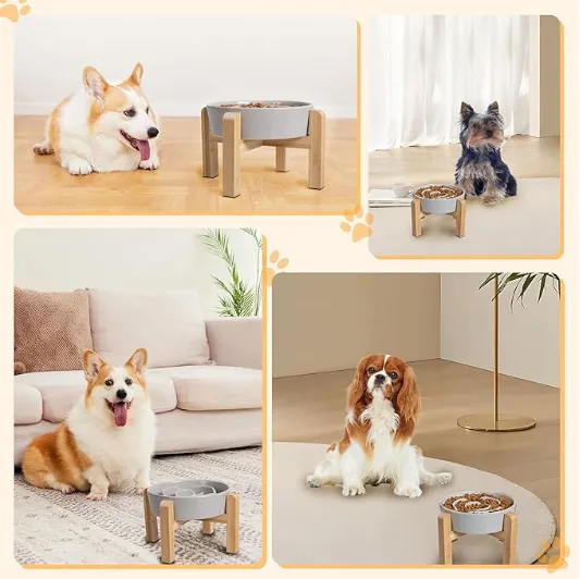 Ceramic Dog Bowls Wholesale in China