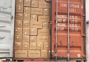 Regelmäßige Verpackung