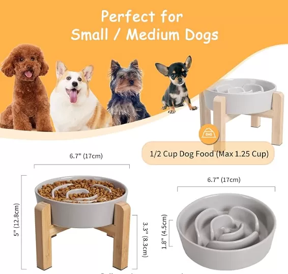 Tazones de perros de cerámica elevados con soporte anti-Slip