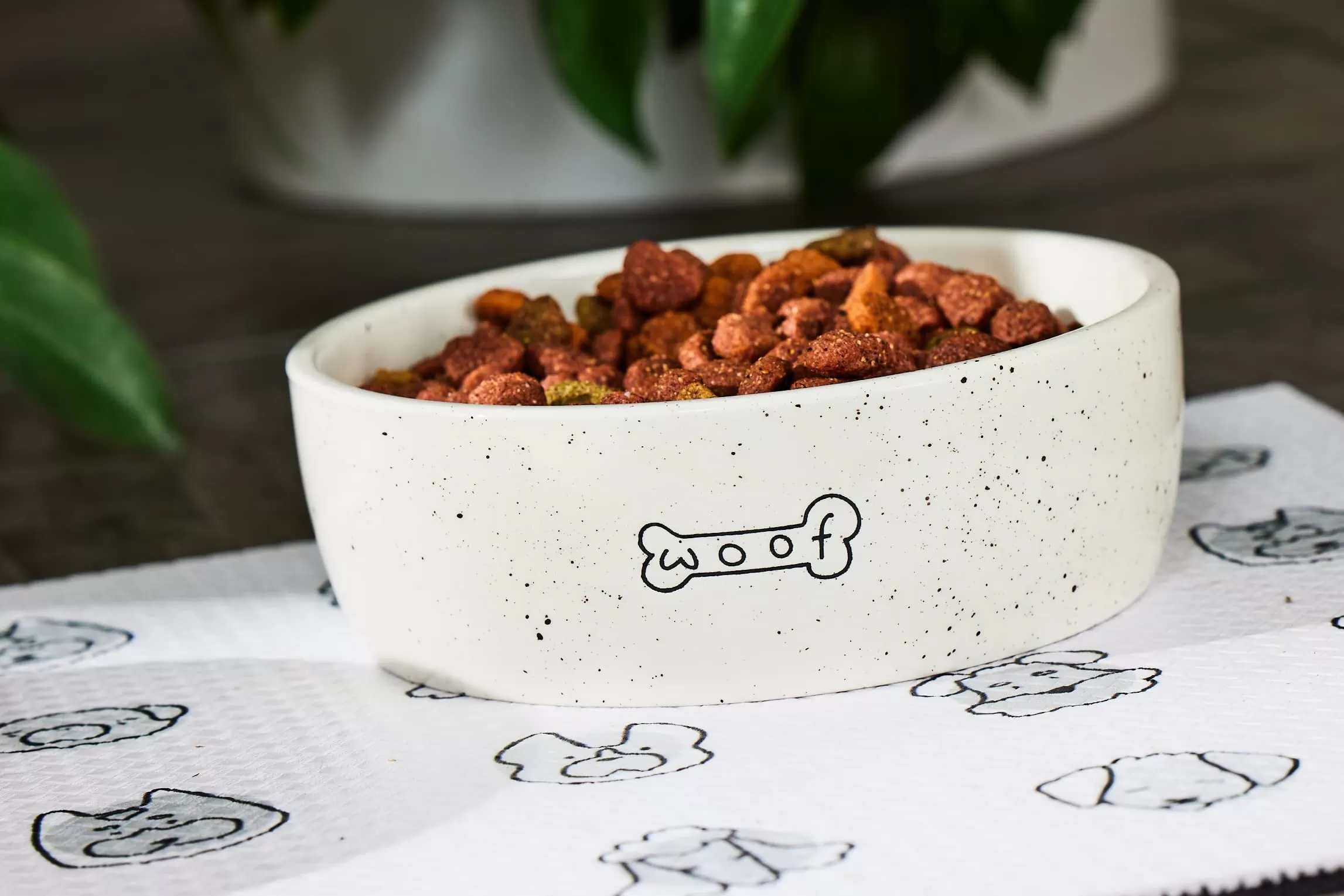  en gros bols pour animaux de compagnie 