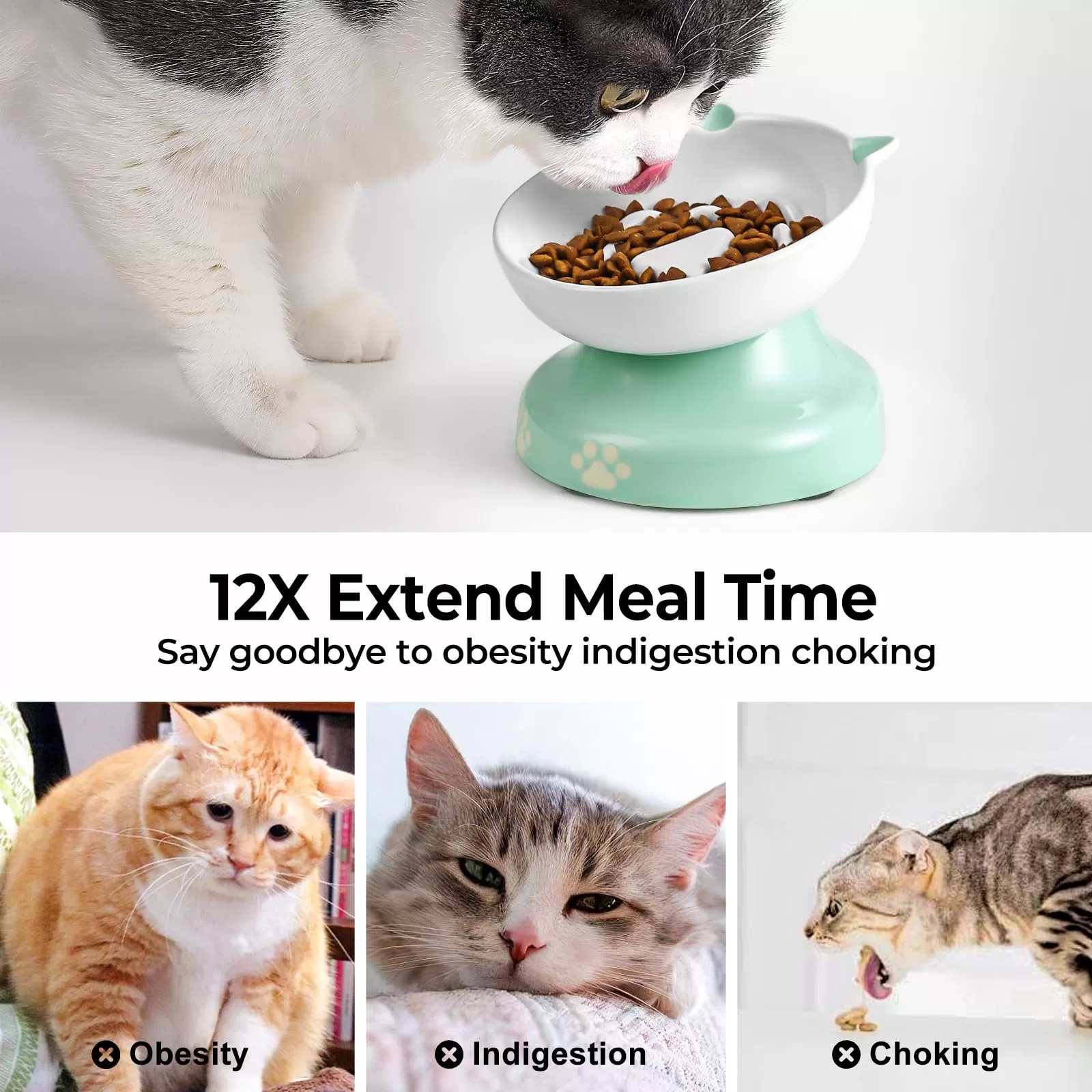 Bol de chat à manger lent