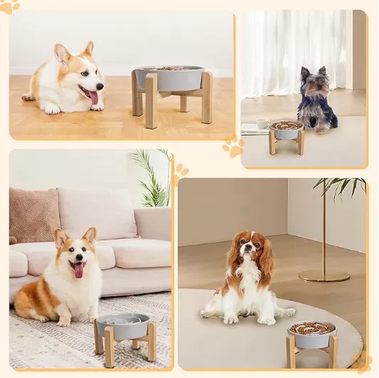 Bát chó gốm bán buôn ở Trung Quốc
