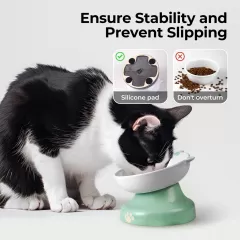Geramic Slow Fooder Cat Bowlesale ở Trung Quốc - Lý tưởng cho bữa ăn lành mạnh hơn